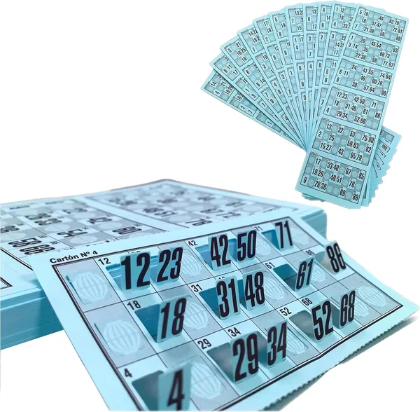 960 Cartelle Bingo/Lotto Prefustellate e Riutilizzabili – 90 Palline Numerate, Set per Gioco della Tombola e Bingo, Gioco da Tavolo Tradizionale per Gruppi, Pronto all’Uso (Blu)