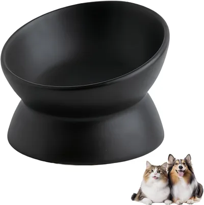 Erhöhter Futternapf für Katzen, Keramik, erhöhter und geneigter Futternapf, Anti-Erbrechen, stressfrei, flach, stressfrei, für Katzen und kleine Hunde, 150 ml, Schwarz, 1 Stück
