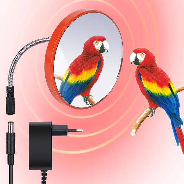Riscaldatore per Gabbia per Uccelli, 12V 18W Nuovo Riscaldatore per Uccelli Aggiornato Piastra Riscaldante per Uccelli da Compagnia per Pappagalli Cacatua Conures Fringuelli Parrocchetti