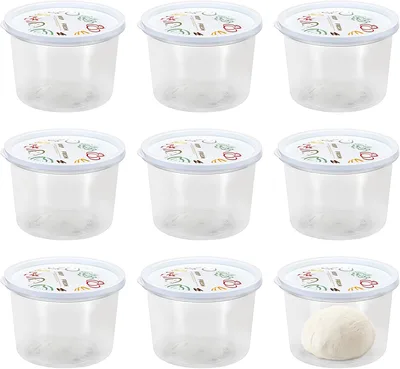 SUMTree 9 Pcs Pizzaballenbox mit Deckel Kunststoff Pizzateigbehälter 1,1L